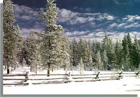 Yellowstone Village.Hebgen Lake Estates.Drop.JPG (28232 bytes)